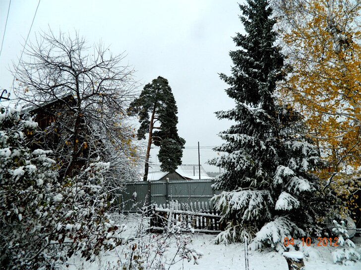 Первый Снег, Зауралье, Курган 2012