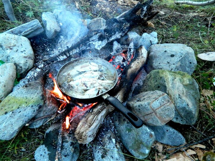 Горный Алтай поход на плоскогорье Укок - Вдоль реки Ак Алаха