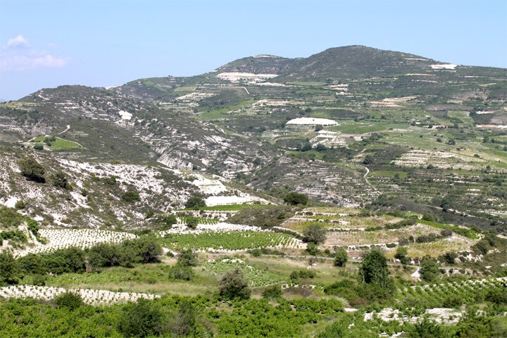 Деревеньки Кипра - Омодос -виноградники в округе